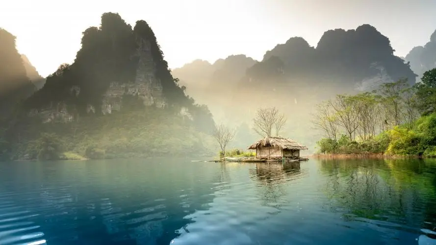 智能高端全自动